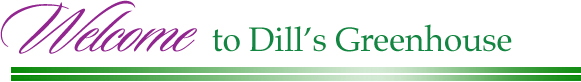 Welcome to Dill's Greenhouse!