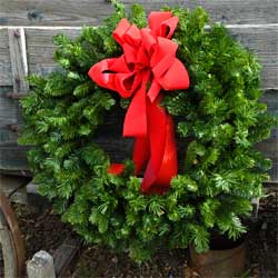 Outdoor Holiday Decorations Dill S Greenhouse